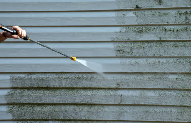 Deck Cleaning Services in Thomaston, NY